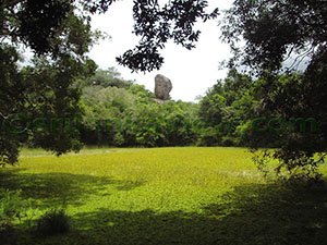 Hatthikucchi Vihara